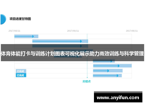 体育体能打卡与训练计划图表可视化展示助力高效训练与科学管理