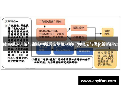 体育循环训练与训练中断后恢复机制的行为提示与优化策略研究